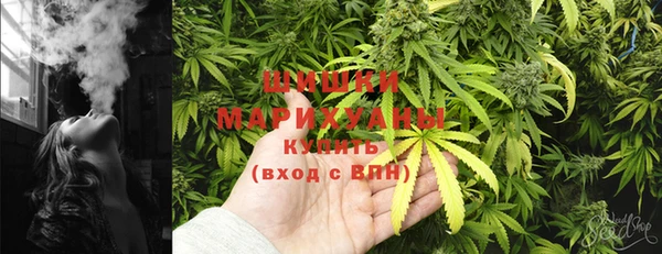 МДПВ Лагань