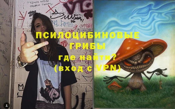 ГАЛЛЮЦИНОГЕННЫЕ ГРИБЫ Коряжма